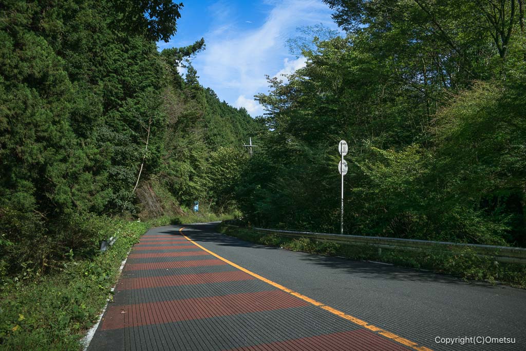 飯能・県道53号線の道