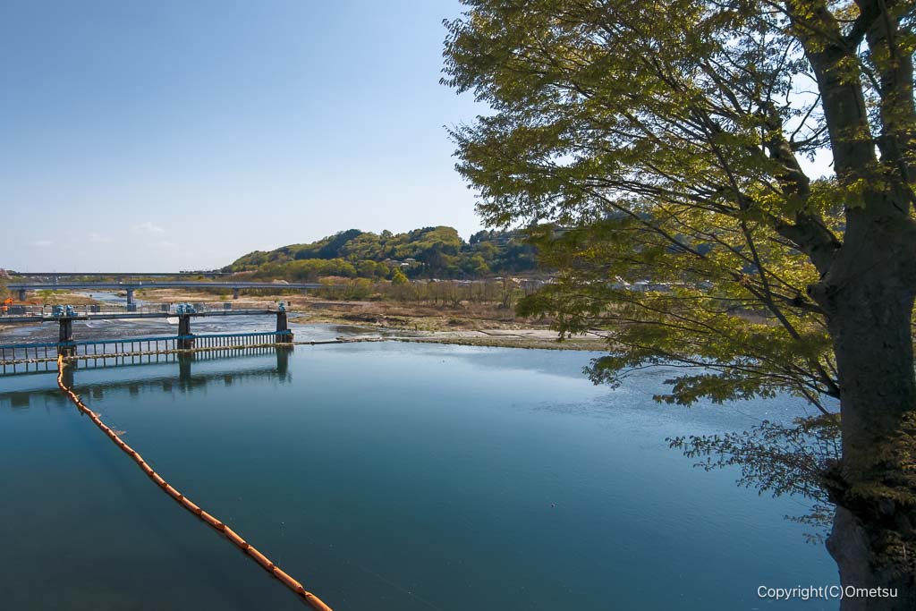 羽村市・羽村の堰