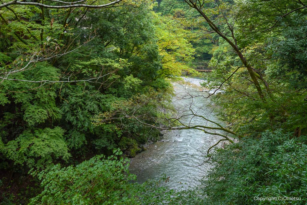 奥多摩アウトドアステーション裏の、渓谷