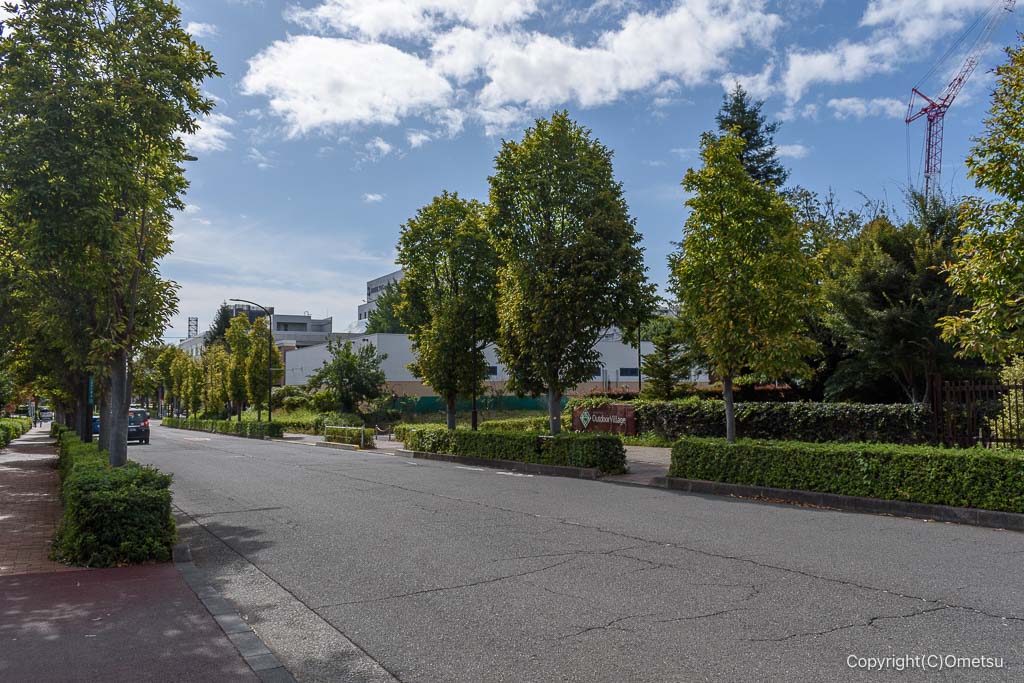 昭島市・モリタウン・アウトドアヴィレッジ付近の道