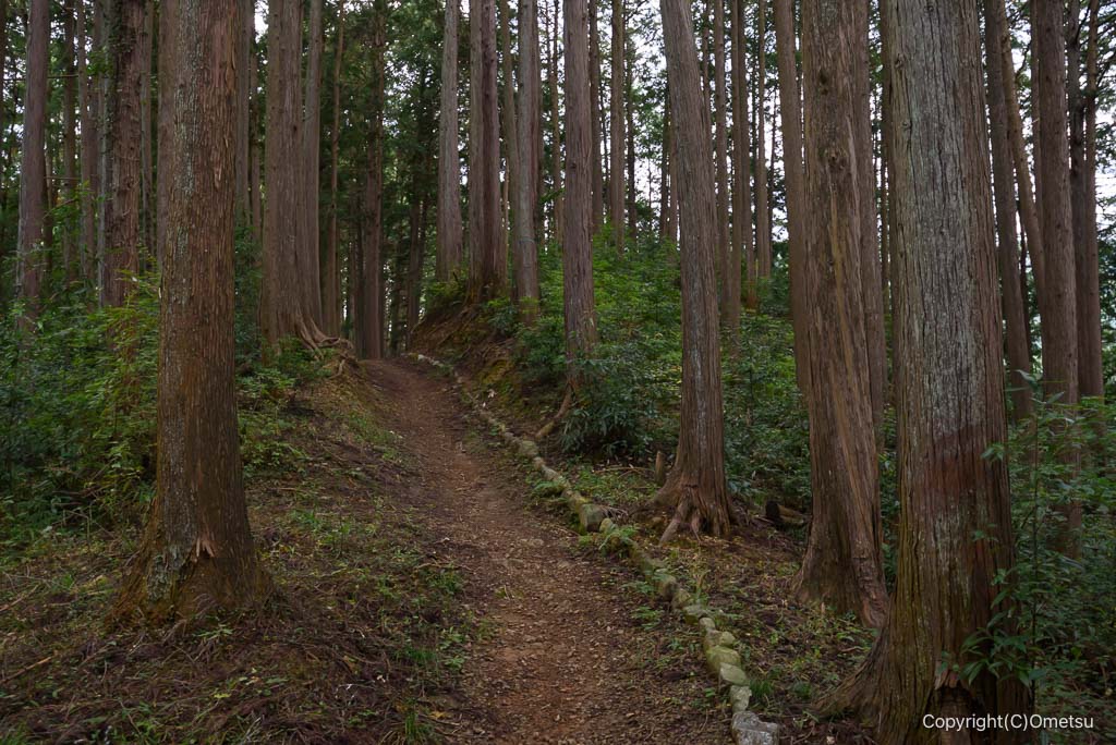 青梅・下山八幡神社から、日の出山の登山道