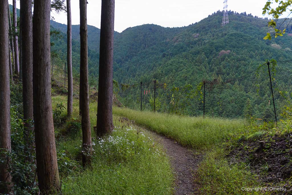 青梅・下山八幡神社から、日の出山の登山道の光景