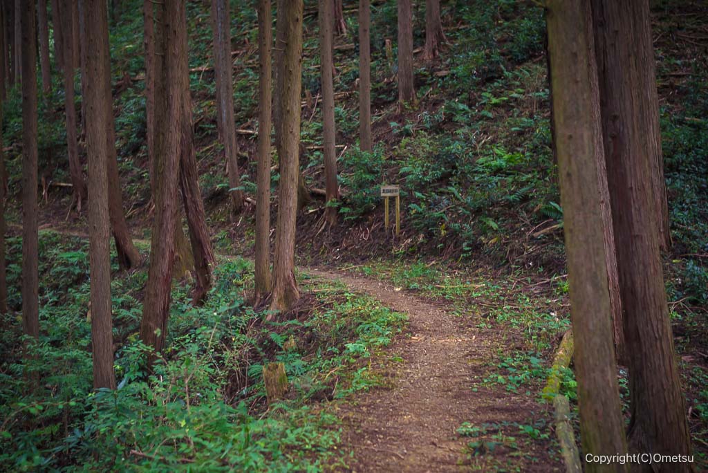 青梅・下山八幡神社から、日の出山の登山道