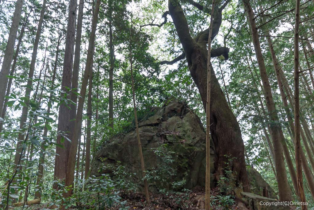 青梅・下山八幡神社から、日の出山の登山道の、岩