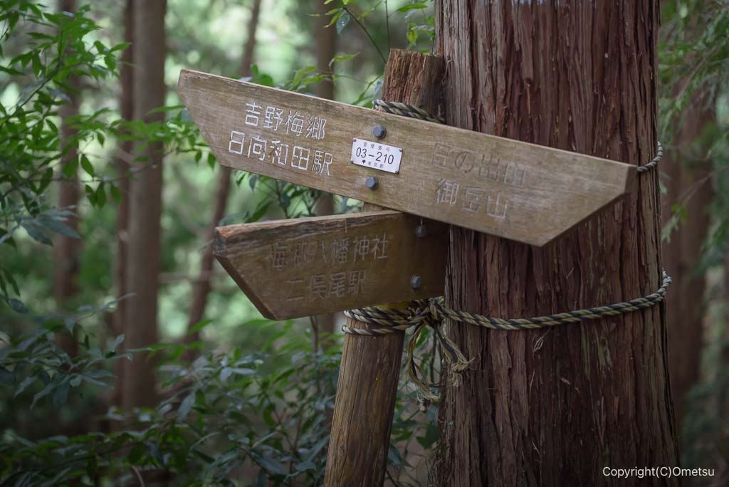 青梅・日の出山登山道の、分岐