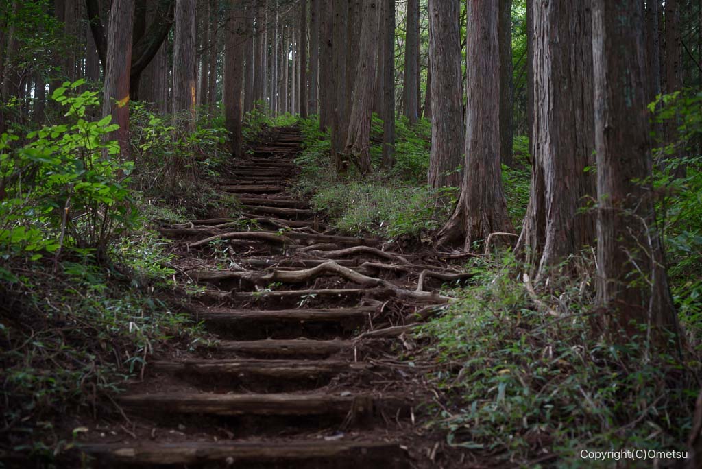 日の出山直下の、登山道