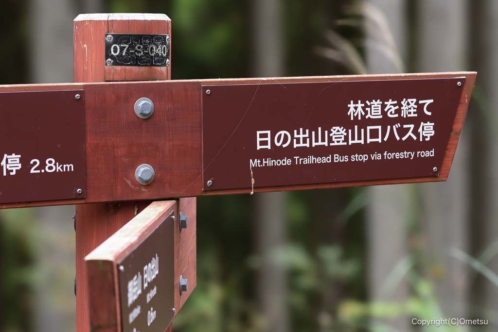 日の出山、新道・旧道の分岐点