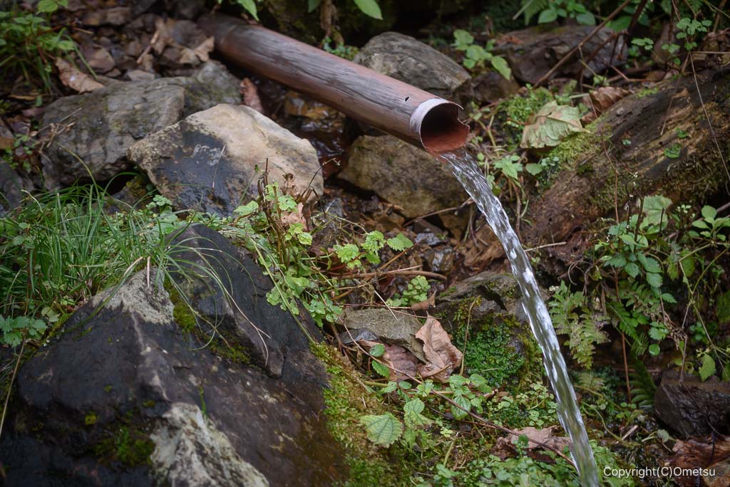 日の出山、平井川源流の水