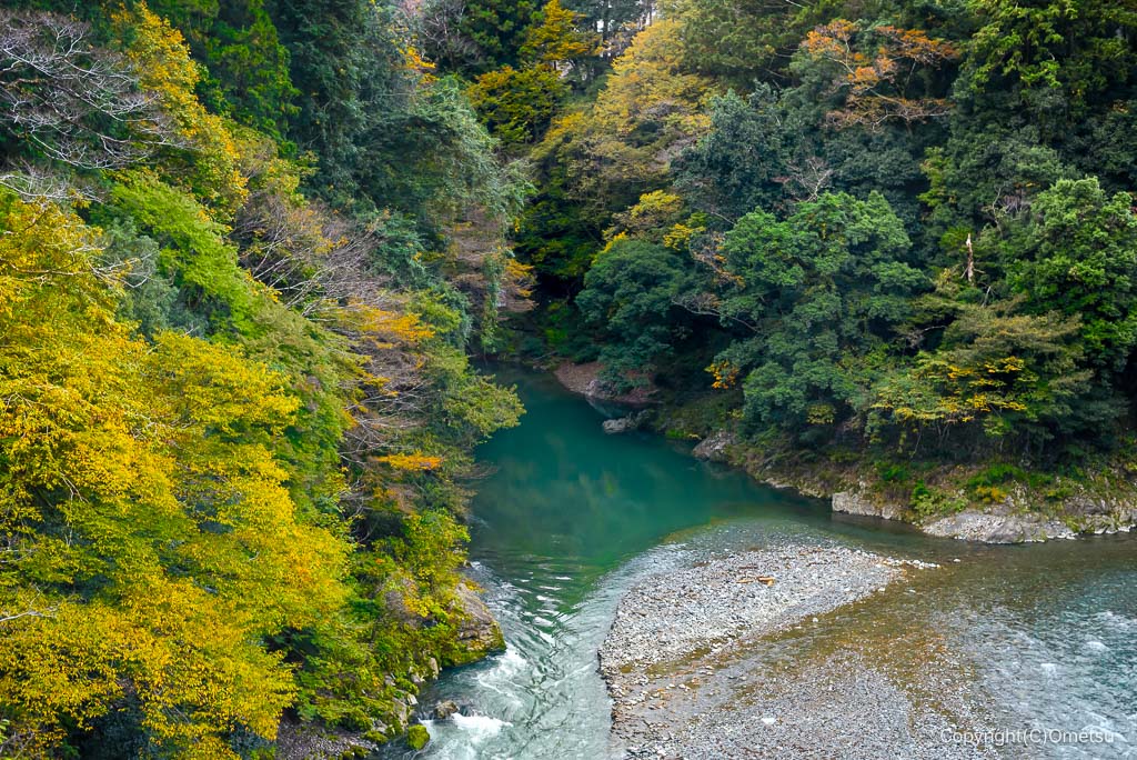 奥多摩・昭和橋からの氷川渓谷