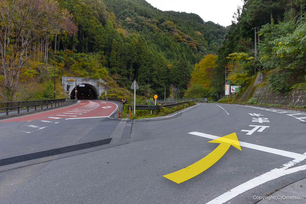 都道184号線・海沢林道付近