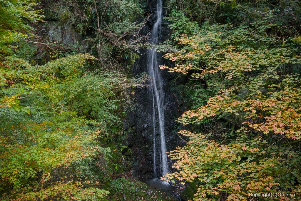 奥多摩町・海沢渓谷の、無名滝
