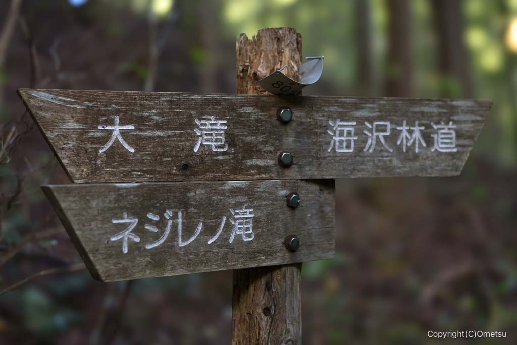 奥多摩町・海沢園地、ネジレの滝分岐