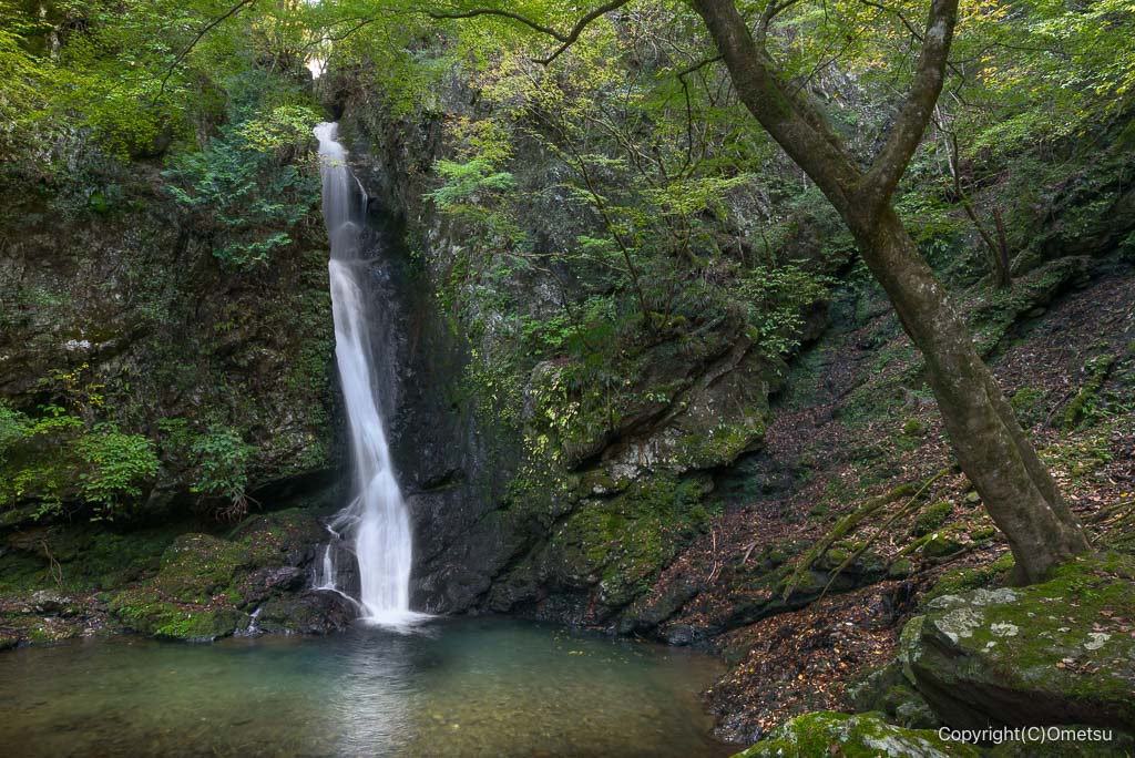 奥多摩、海沢大滝