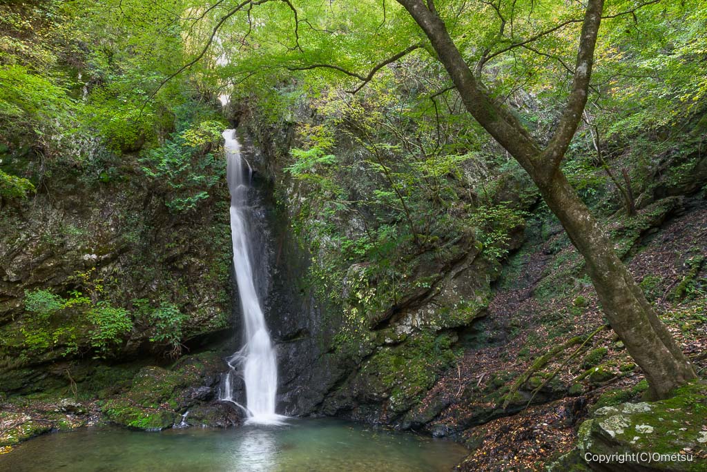 奥多摩町・海沢園地、大滝