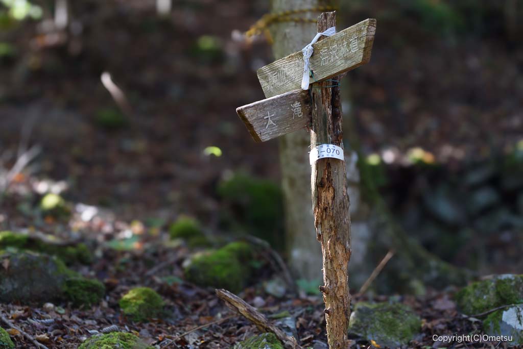 奥多摩町・海沢園地、大滝分岐