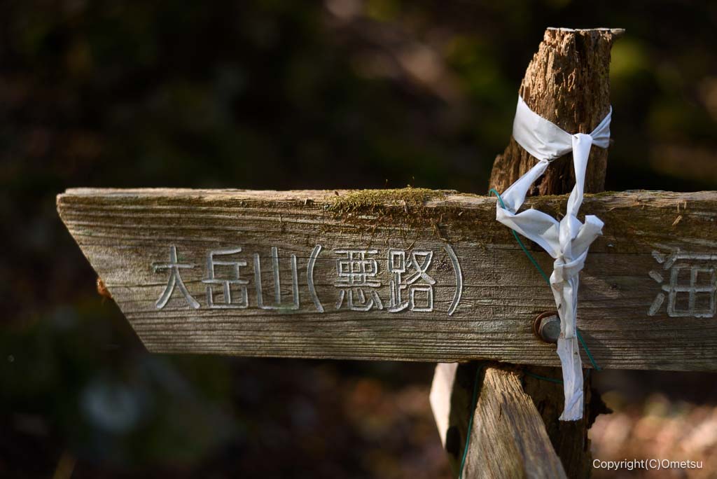 奥多摩町・海沢園地、大滝分岐付近の道標