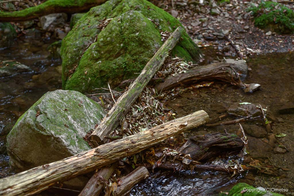 奥多摩町・海沢探勝路、徒渉点