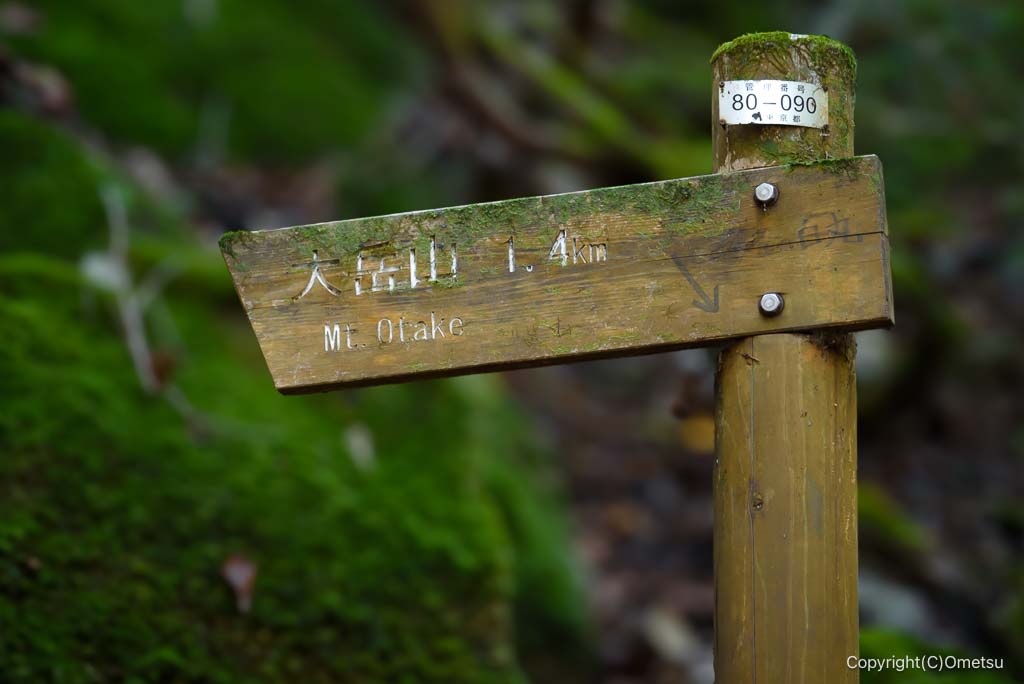 奥多摩町・海沢探勝路の、道標