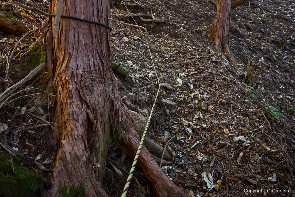 奥多摩町・海沢探勝路の、急登のロープ