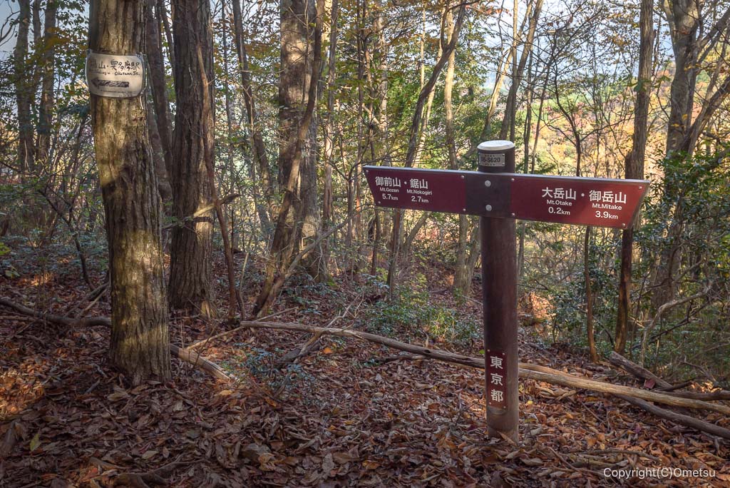 奥多摩町・大岳山から鋸山の縦走路