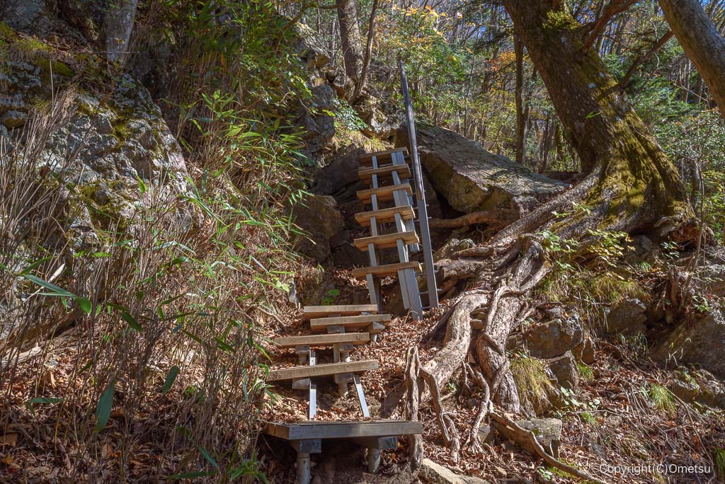 奥多摩町・大岳山直下の、梯子の道