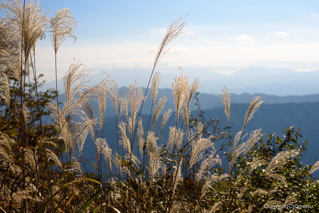 奥多摩・大岳山山頂のススキと山並み