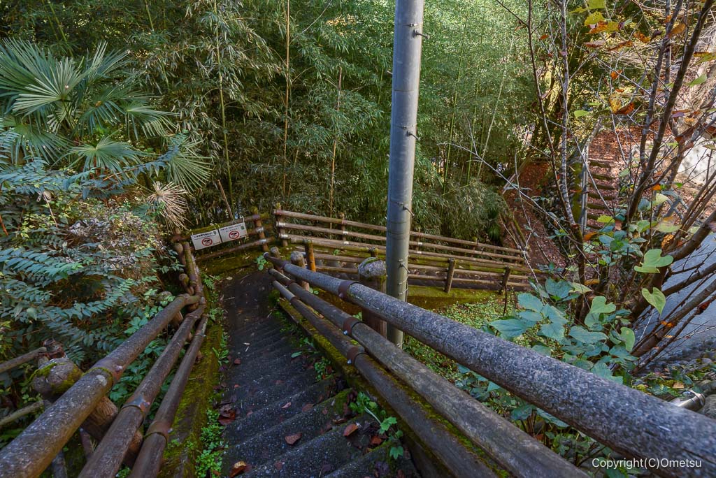 奥多摩町・氷川渓谷入口の、石段