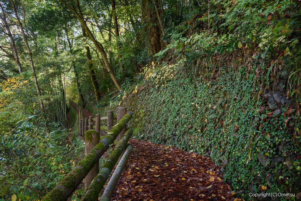 奥多摩・氷川渓谷遊歩道