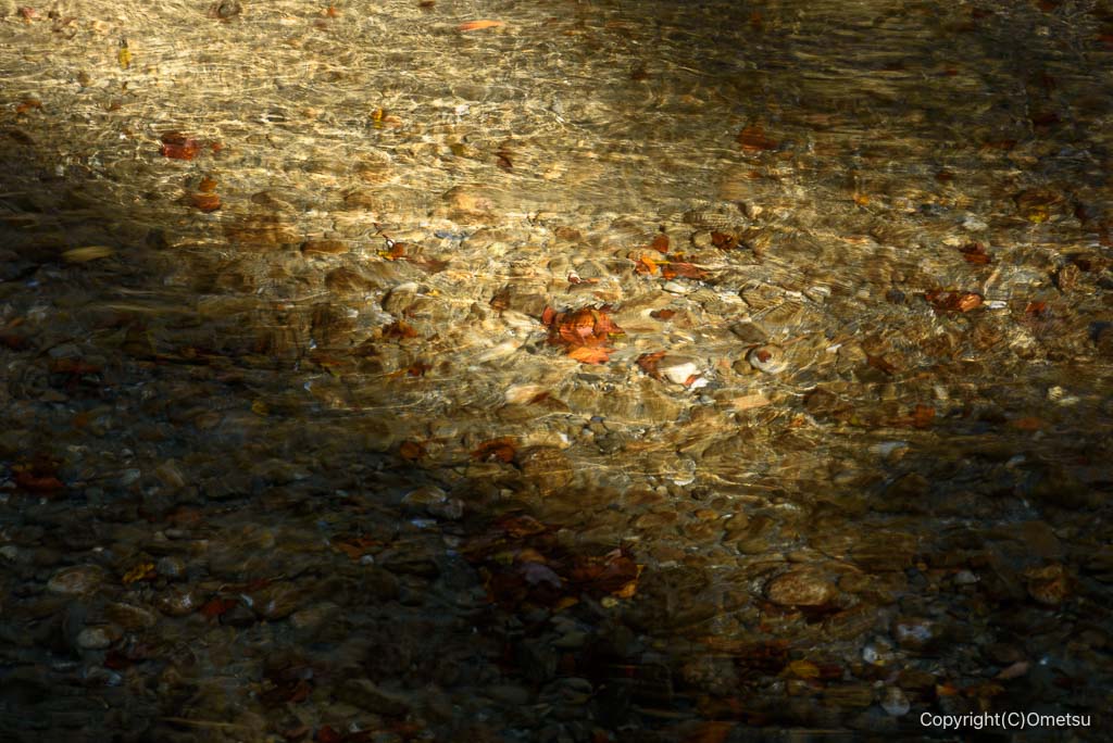 奥多摩・氷川渓谷の木漏れ日