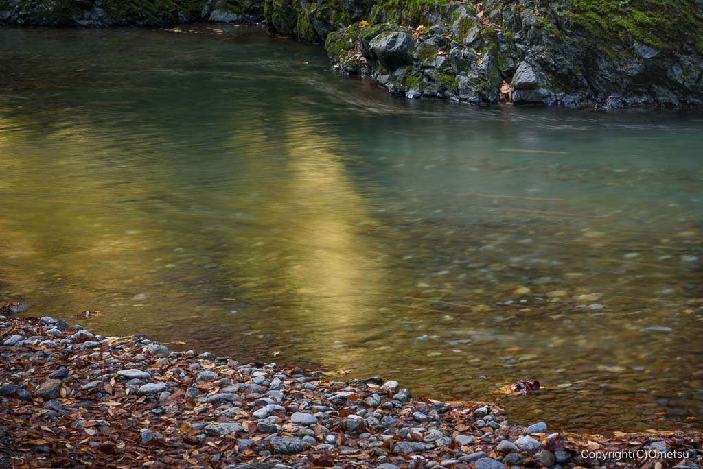 奥多摩・氷川渓谷の、黄葉に彩る水面