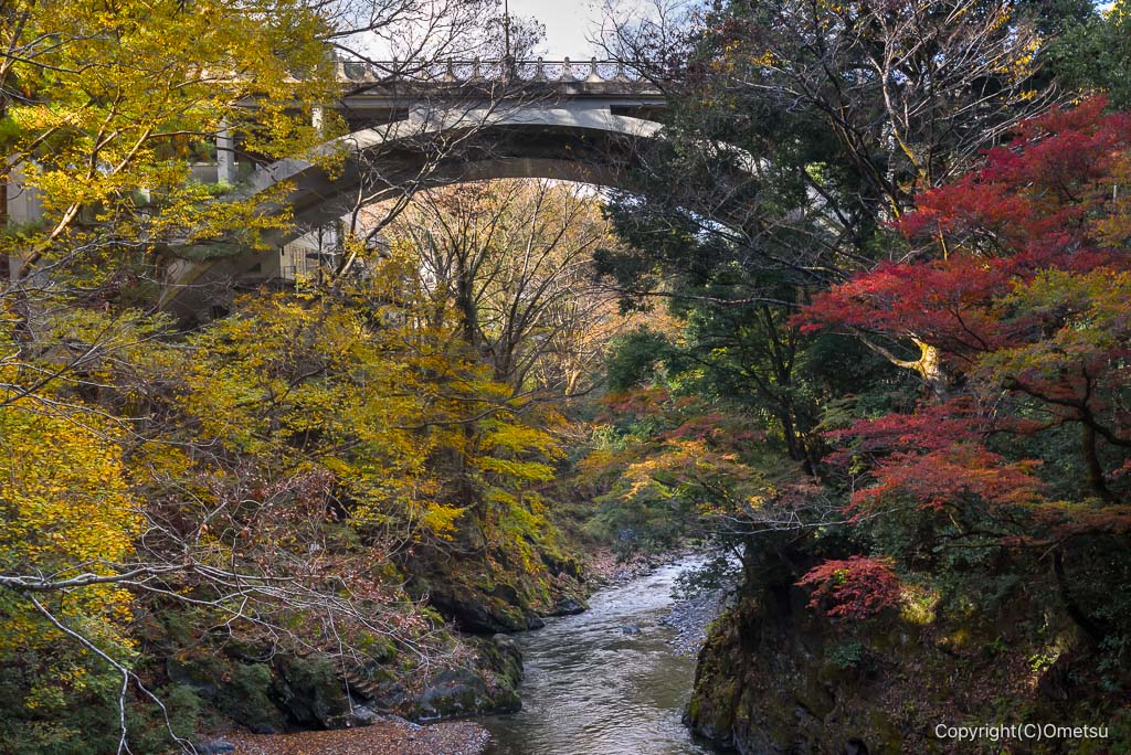 奥多摩・氷川大橋と紅葉