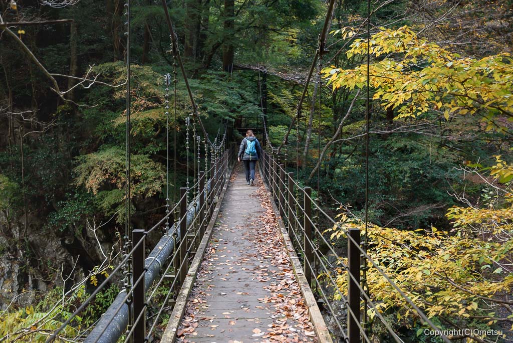 奥多摩・氷川渓谷、登計橋