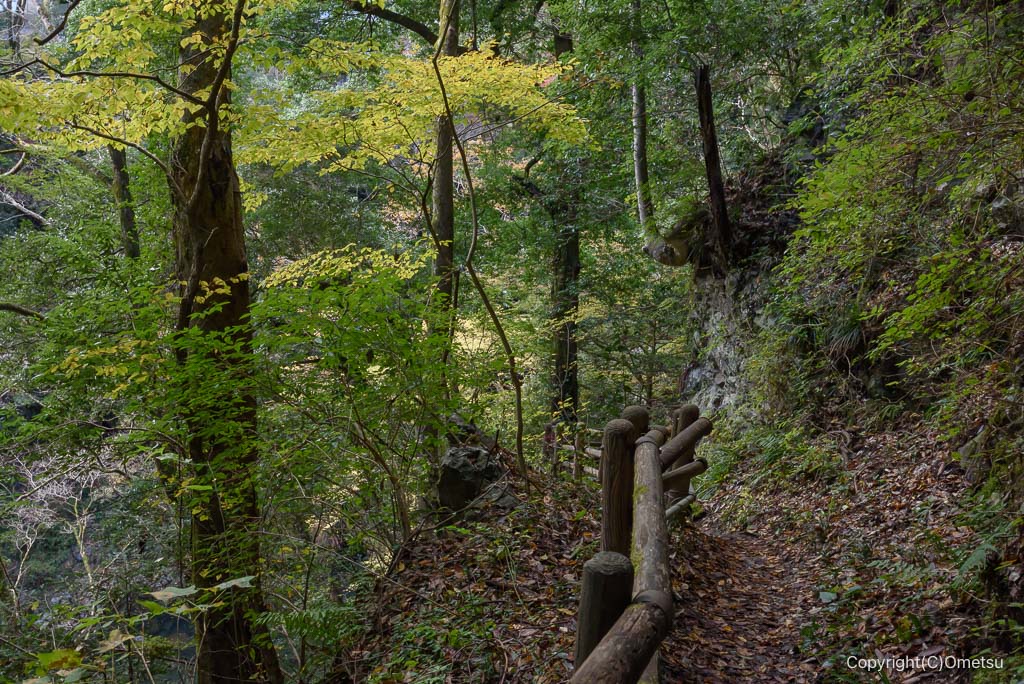 奥多摩・氷川渓谷、多摩川沿いの道