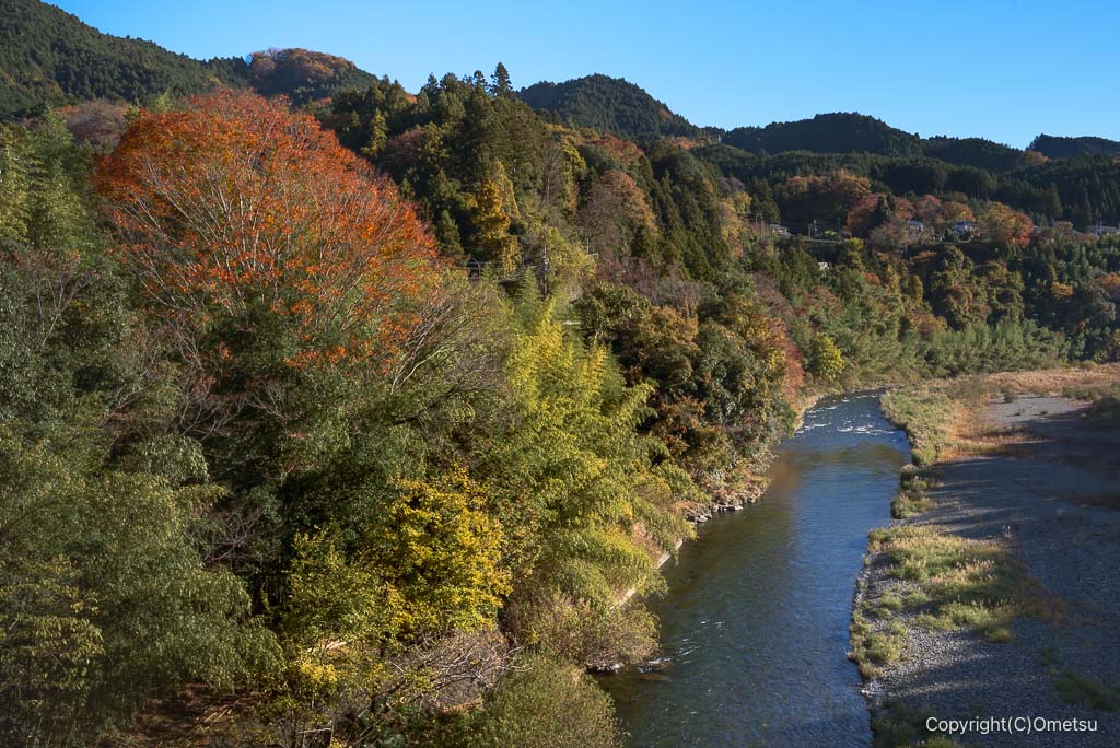 青梅・軍畑大橋からの多摩川の光景