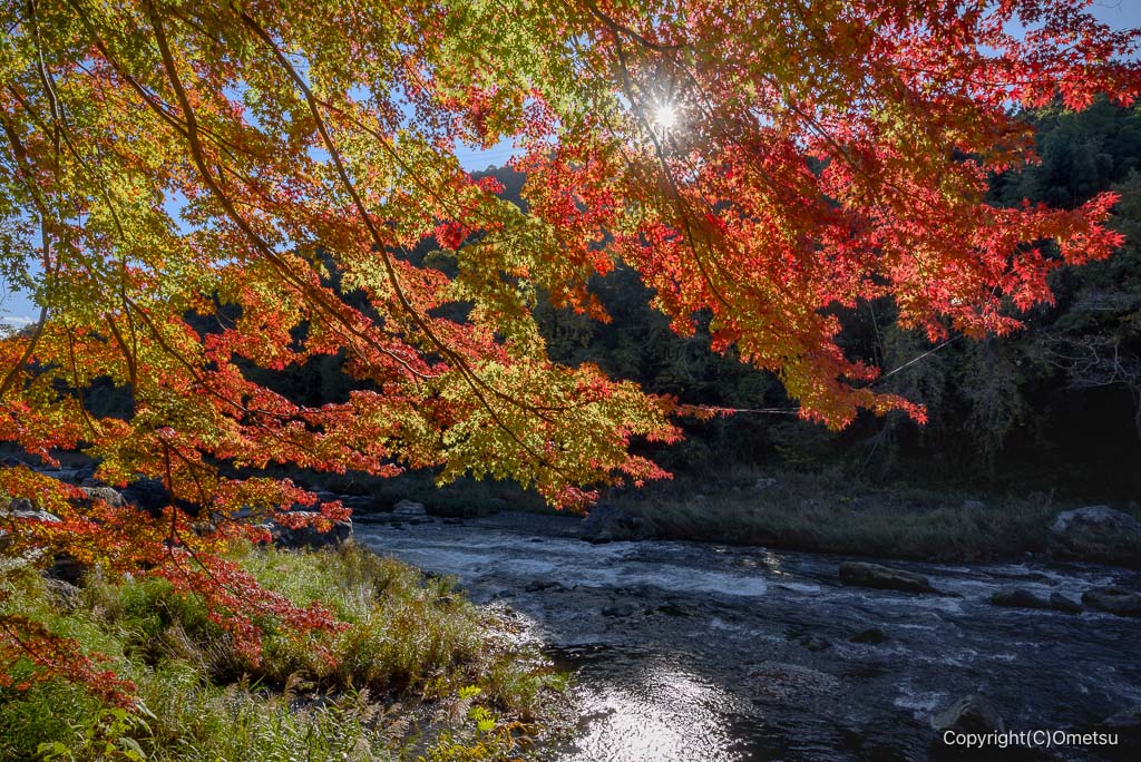 青梅・御岳渓谷・軍畑〜沢井間の紅葉