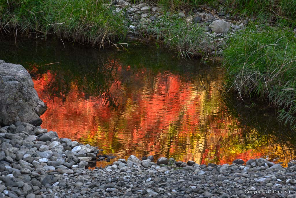 青梅・御岳渓谷、紅葉の映った水面