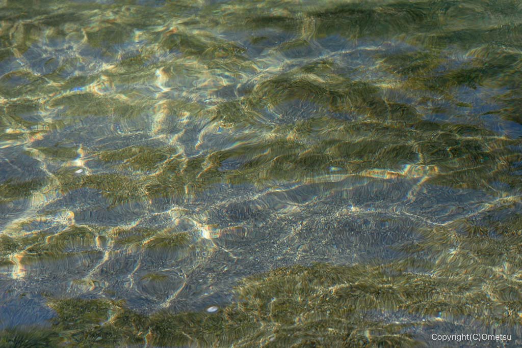 青梅・御岳渓谷の、清流の輝き