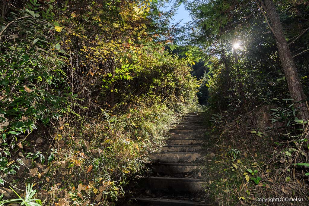 青梅・御岳渓谷、右岸路の坂道