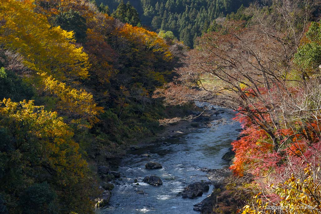 青梅・御岳渓谷、御岳橋からの光景