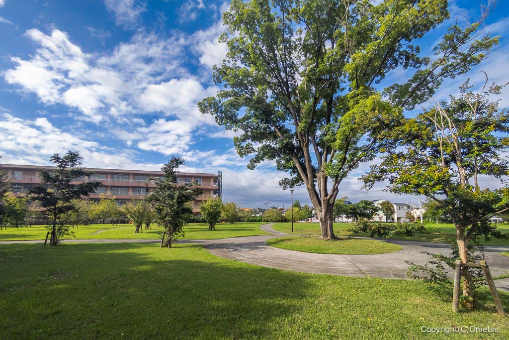 昭島市・むさしの公園