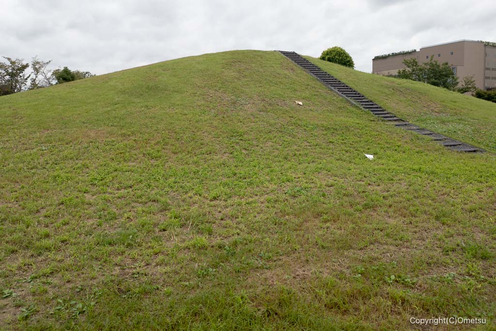 昭島市・むさしの公園の、山
