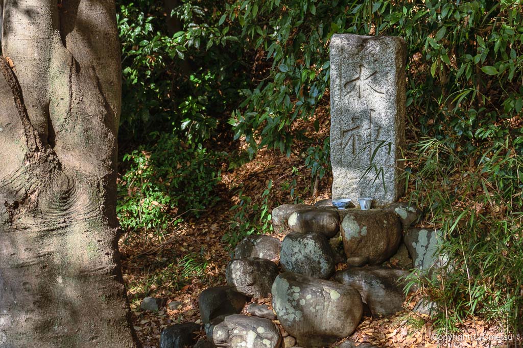 多摩川・九ヶ村用水取水口跡付近の、水神