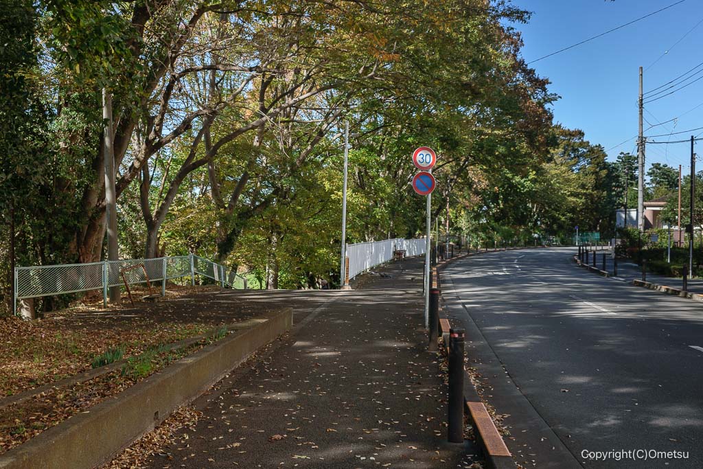 西尾組砂利軌道跡付近の多摩川の土手への道