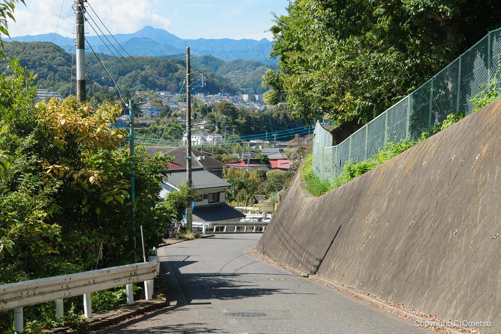 青梅・河辺下から、大岳山の光景