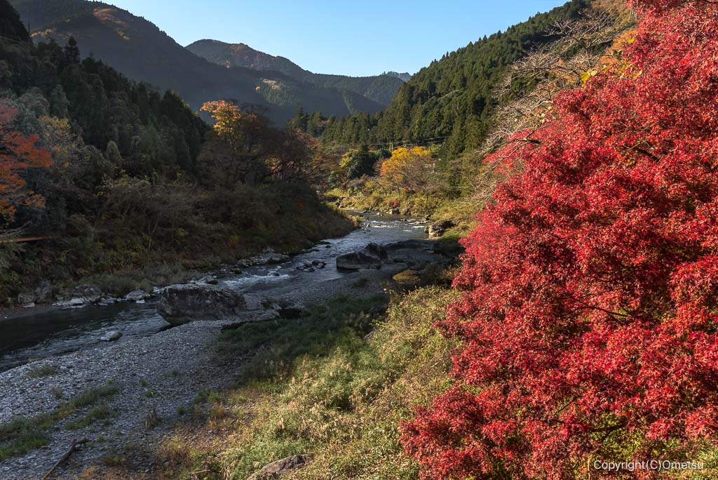 青梅・御岳渓谷、鵜の瀬橋からの光景