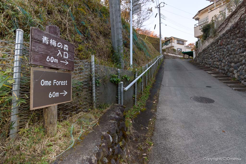 青梅の森・道標