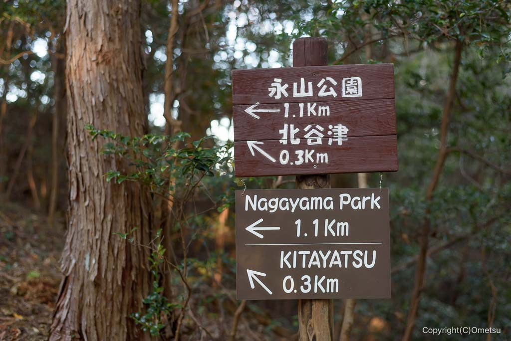青梅の森、永山公園・北谷津分岐の、道標