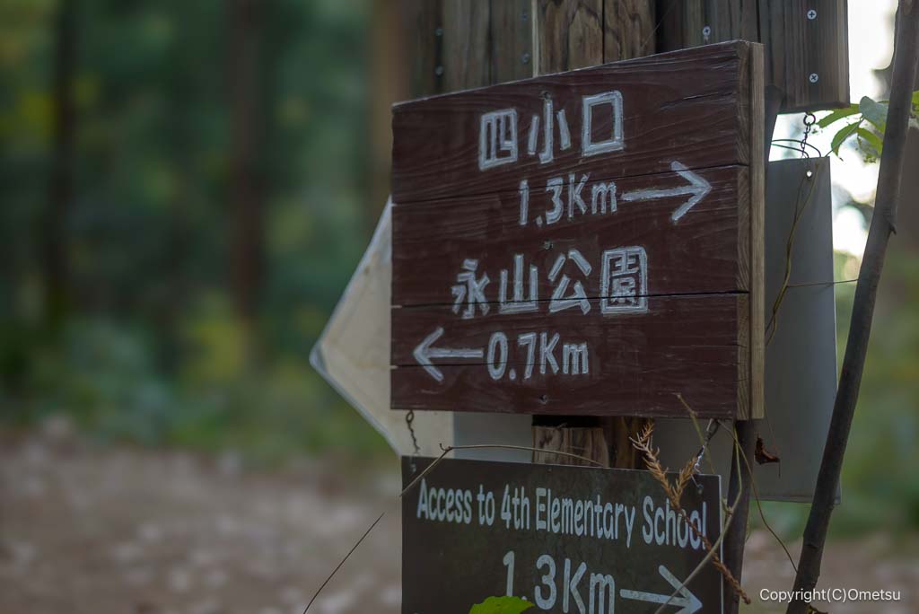 青梅の森の道標