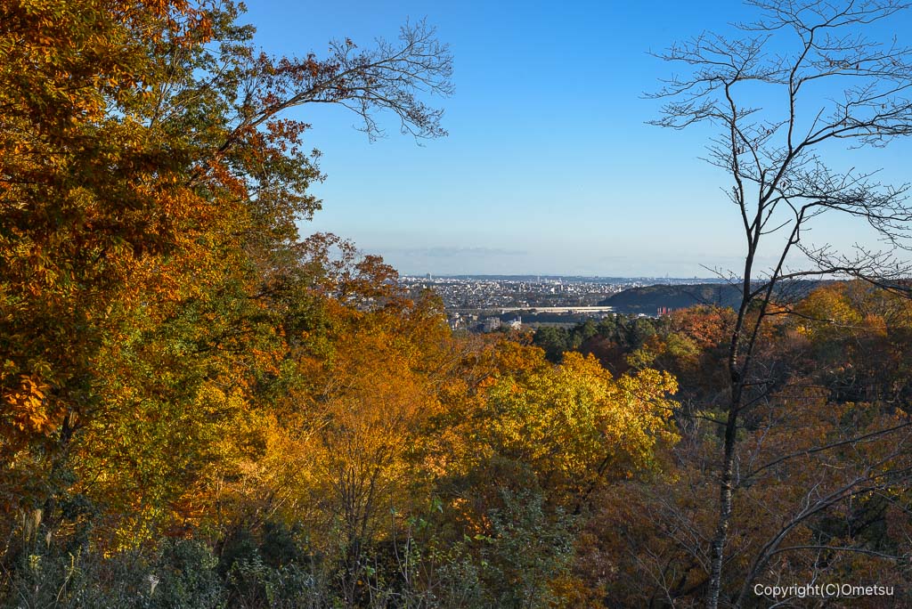 青梅の森、マツボックリ展望台からの、都心方面の展望