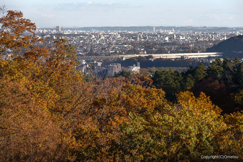 青梅の森、マツボックリ展望台から、圏央道と都心方面の展望